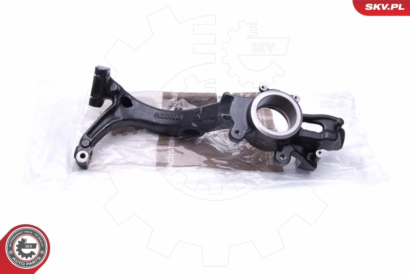 Steering Knuckle, wheel suspension
